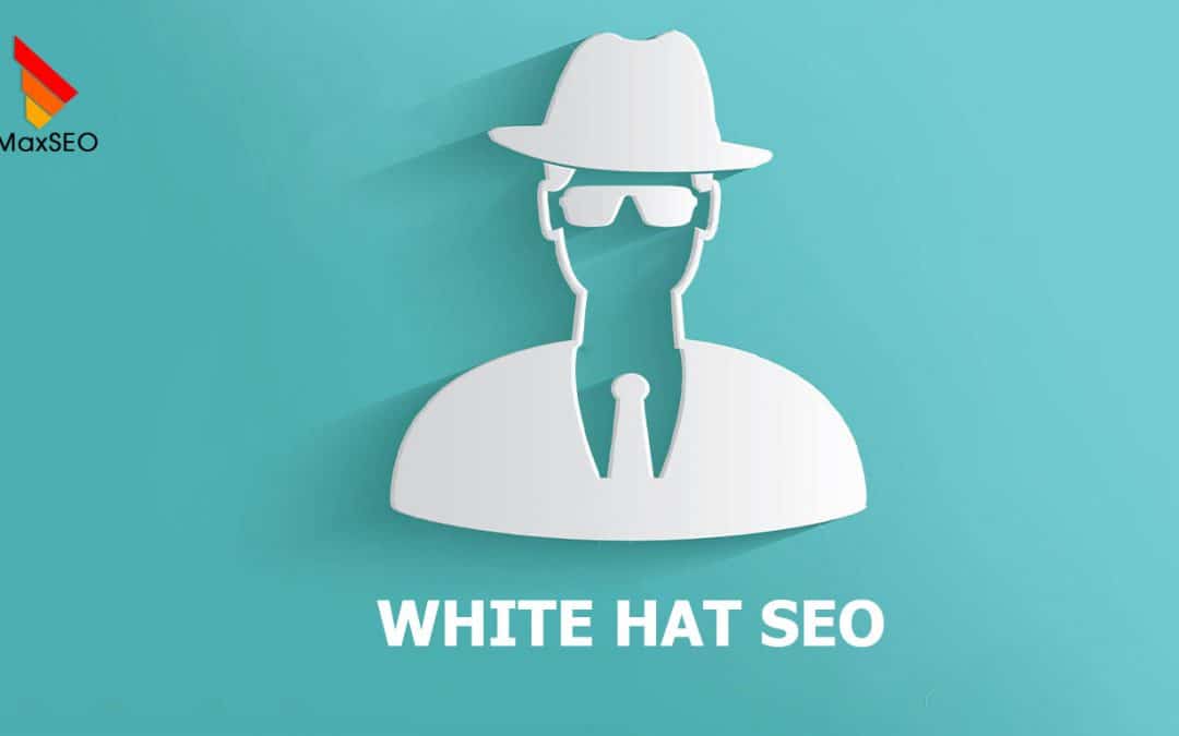 Seo Mũ Trắng là gì? Những lợi ích mà Seo Mũ Trắng mang lại
